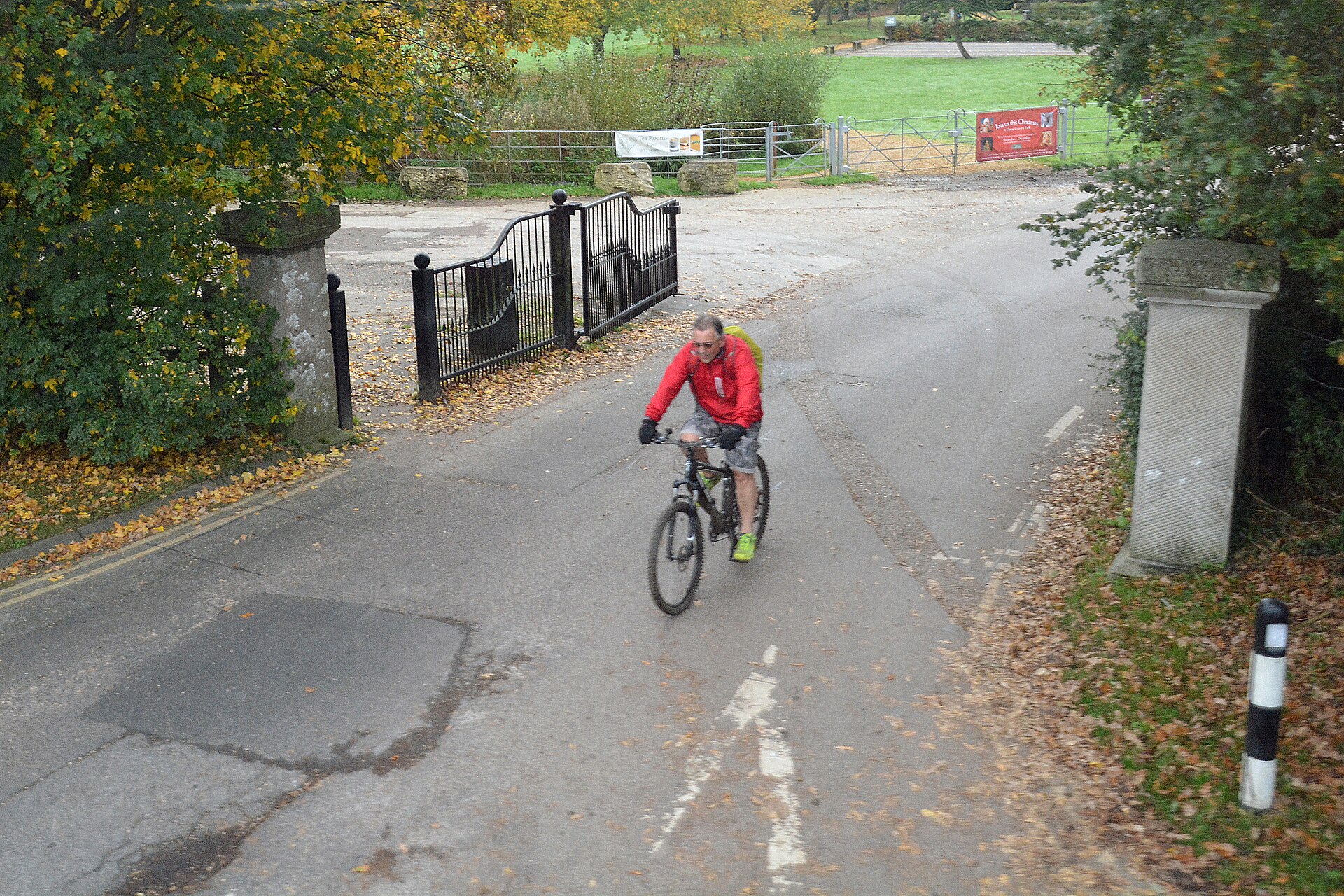 Parkland and trees at Upton Country Park